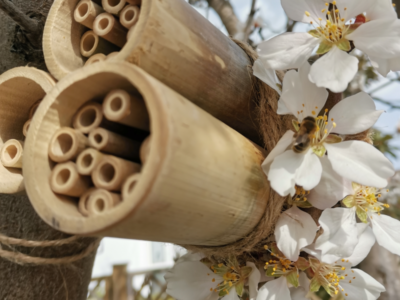 Insektenhotels