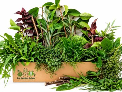 Wald und Wiesen Box